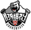 Eisbären Regensburg